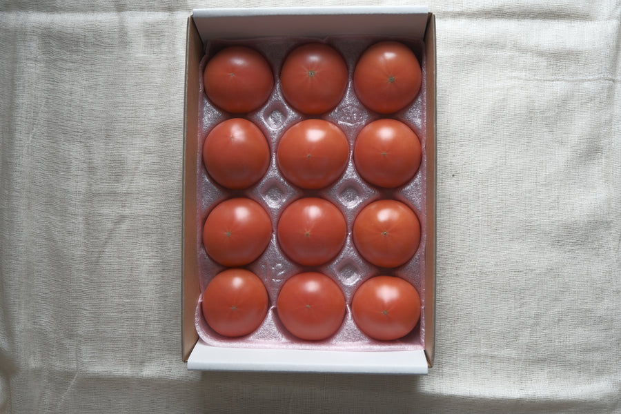 北海道産 特別栽培フルーツトマト トマティーナ　秀品10玉・12玉