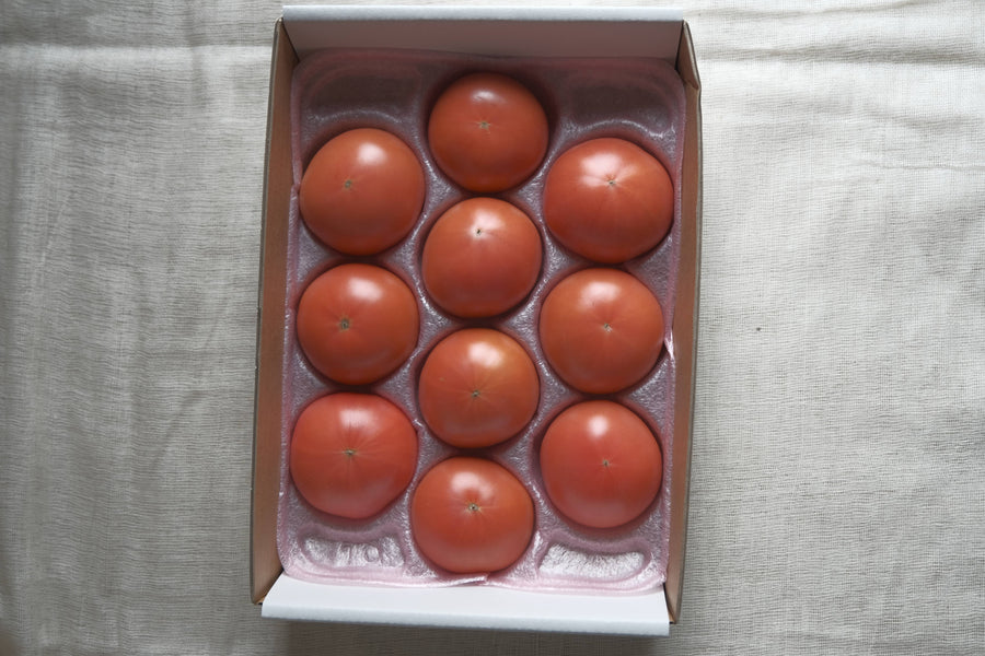 北海道産 特別栽培フルーツトマト トマティーナ 優品10玉・12玉